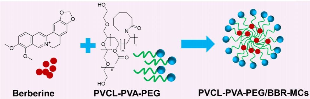 我校藥學(xué)院查孝柱老師在《International Journal of Nanomedicine》發(fā)表科研論文
